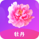 ĵֱapp