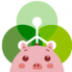 cgpayǮapp°