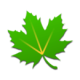 ɫػ