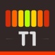  T1