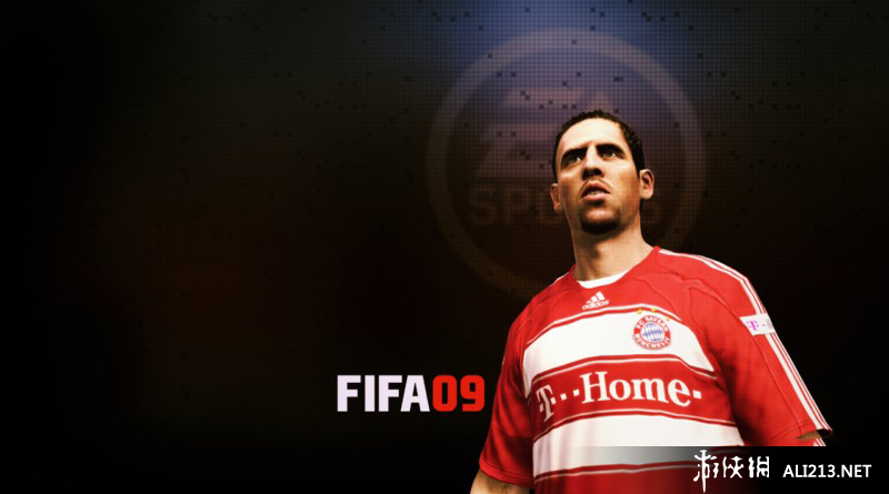 2009FIFA 09V1.010޸Ӣ԰