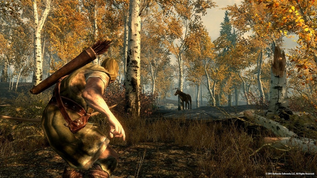 Ϲž5Elder Scrolls Vս1.02MOD
