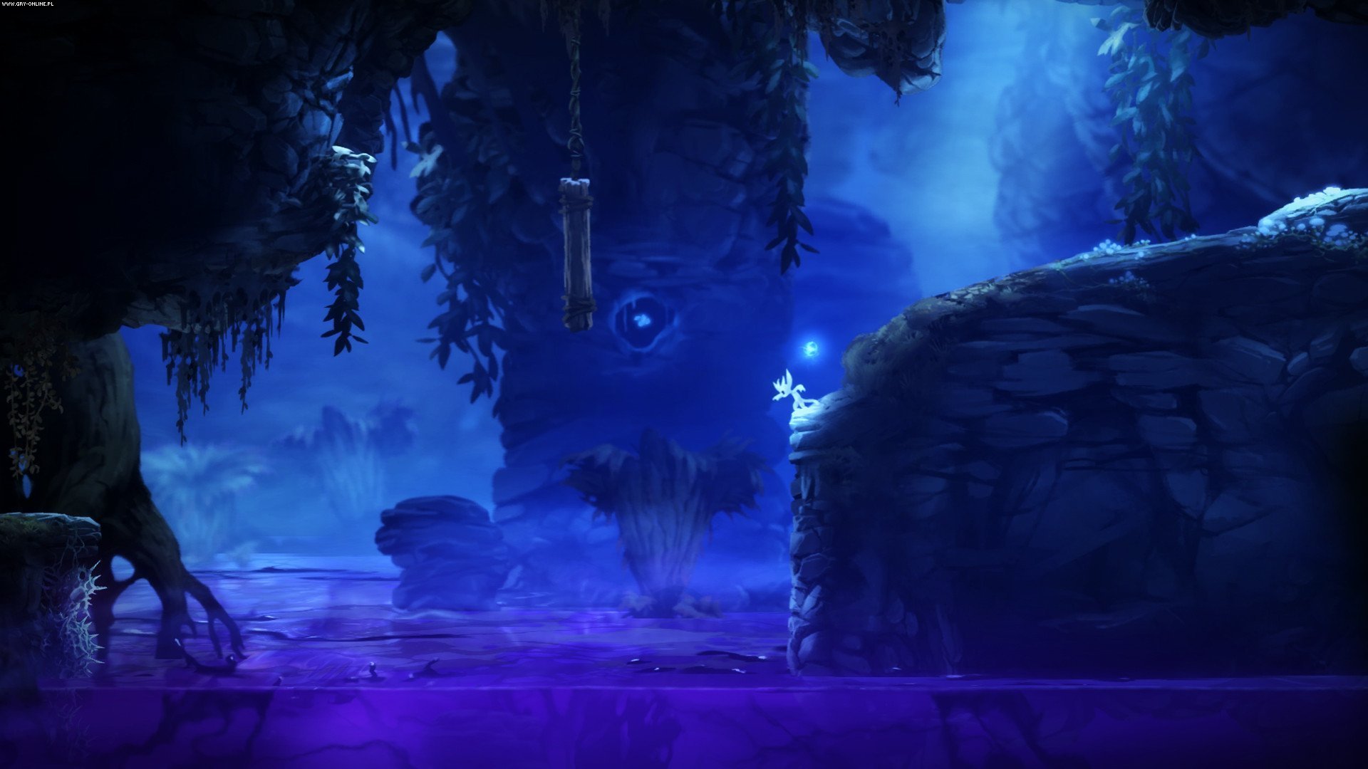 ʧɭ֣Ori and the Blind Forest޸Build0