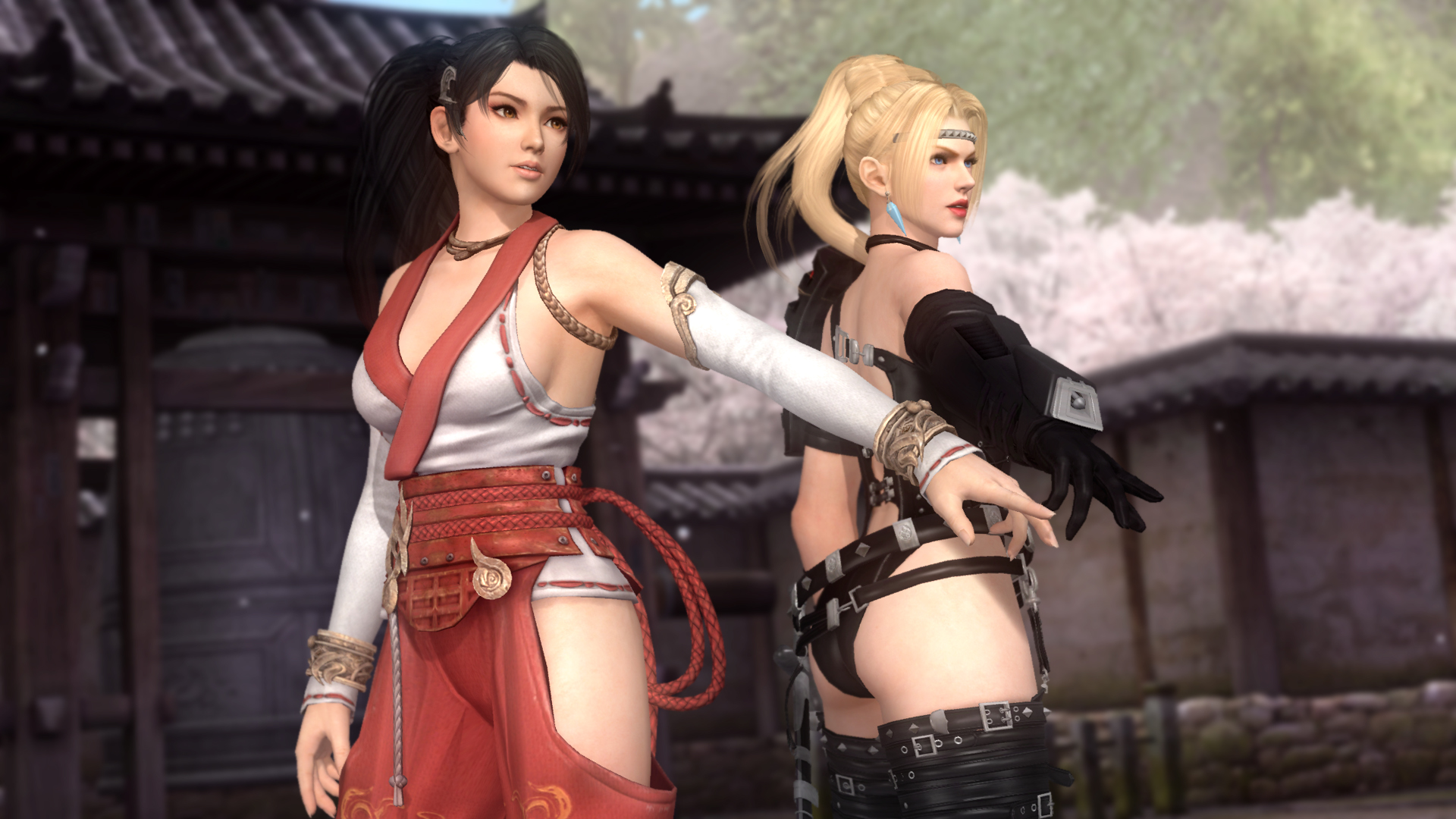 5һսDead Or Alive 5Last Roundv1.02-v1.02A޸Ӱ