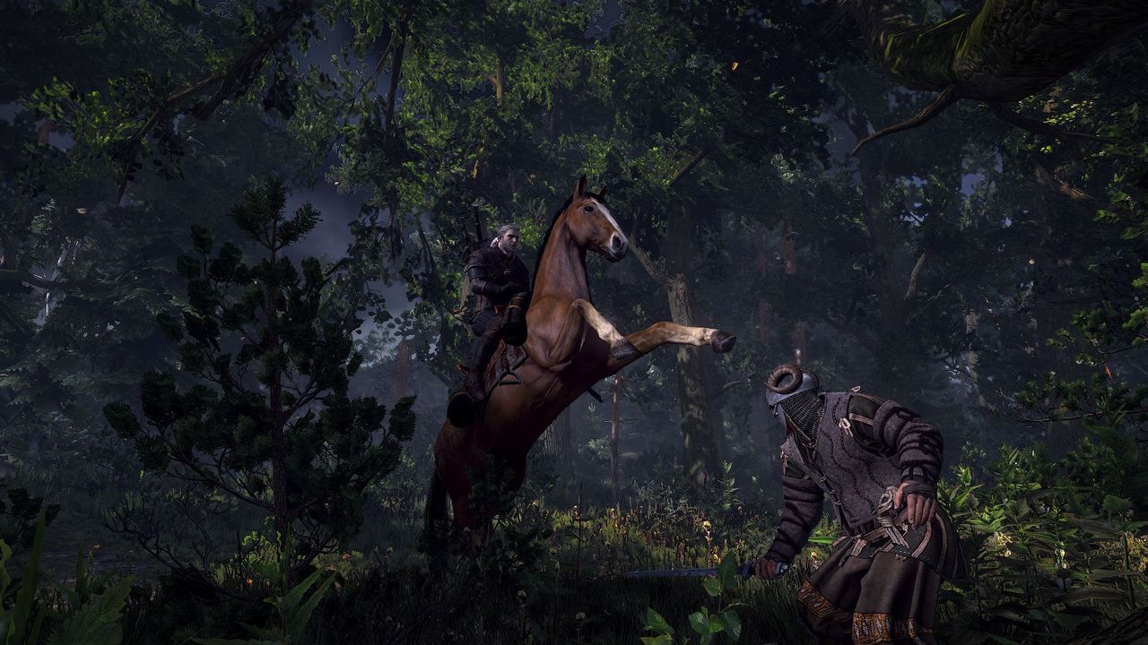 ʦ3ԣThe Witcher 3: Wild Hunt˺ʮֹMOD