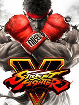 ͷ5Street Fighter Vҡ