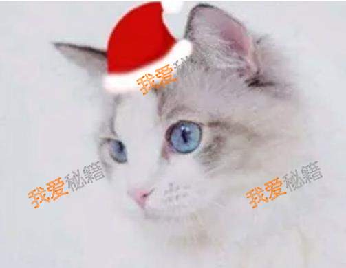 ΢2018ʥͷô-΢ʥñͷصַ