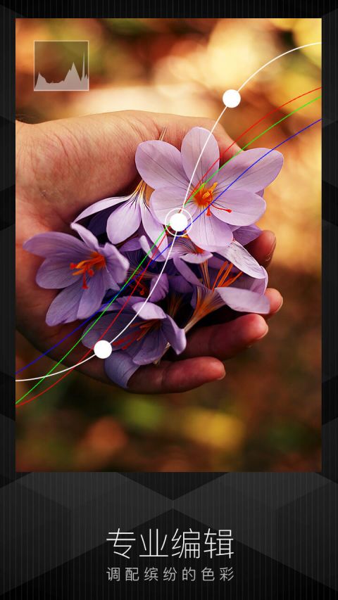 ֻĳƬӸУ3ֻӰƼ