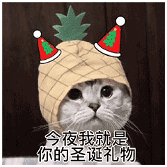 Цʥڱ ʥֱҪ