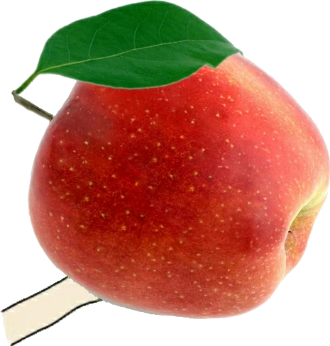 Цʥڱ ʥֱҪ