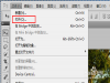 photoshop expressôѹƬ ޸ͼƬط