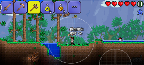 ̩ǰӦô ̩ǰ淨