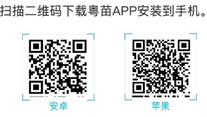 appô鿴ֵϢ  app鿴ֵϢ̳