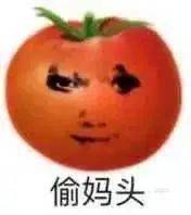 西红柿偷妈头表情包图片