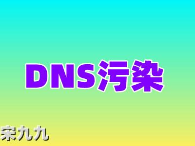 ȾDNSȾϴ 2