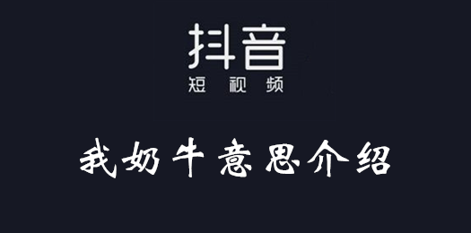 ţʲô˼?ţ