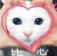 èĶͼȫ èӫgifͼ