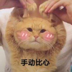 èĶͼȫ èӫgifͼ
