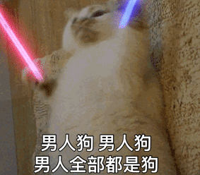 èĶͼȫ èӫgifͼ