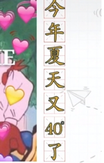 ʮʲô