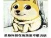  Ч̳̹ϸ
