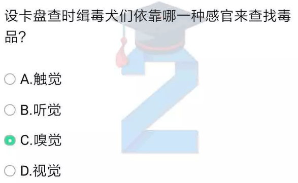 2022ཾڶô꼶x ڶô꼶x𰸻