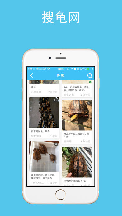 搜龟网