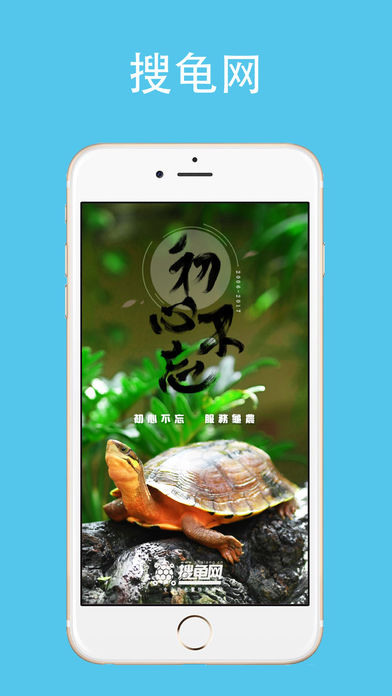 搜龟网