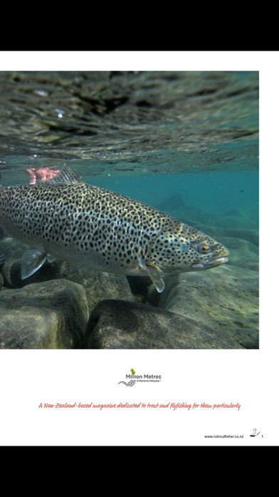 NZ Trout Fisherͼ2