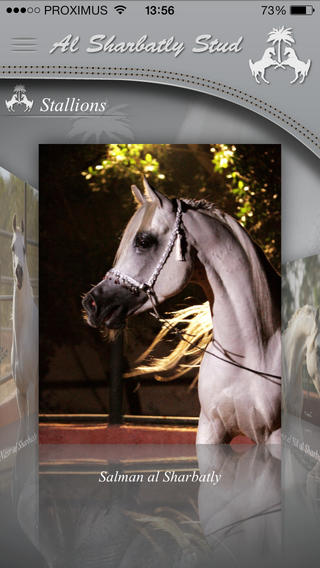 Al Sharbatlyͼ1