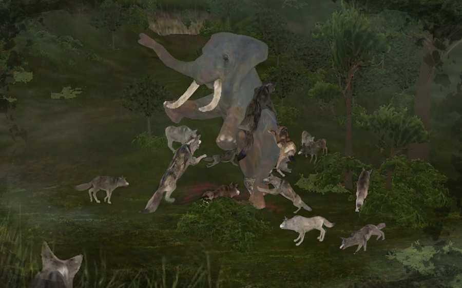 ַ