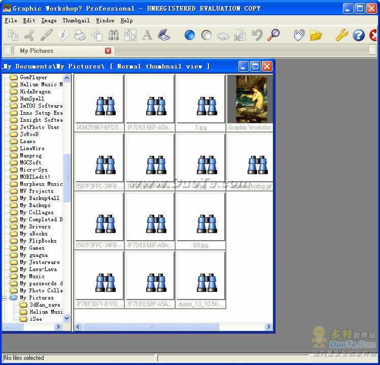 Graphic Workshop Pro