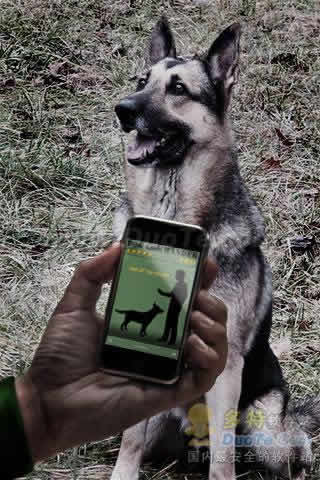 Dog Commander PRO ѵʦ
