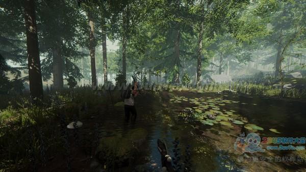 ɭ֣The Forestͼ