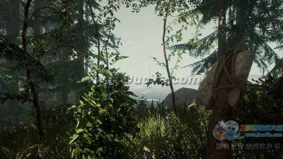 ɭ֣The Forestͼ