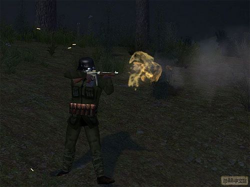 뿳ɱͼ
