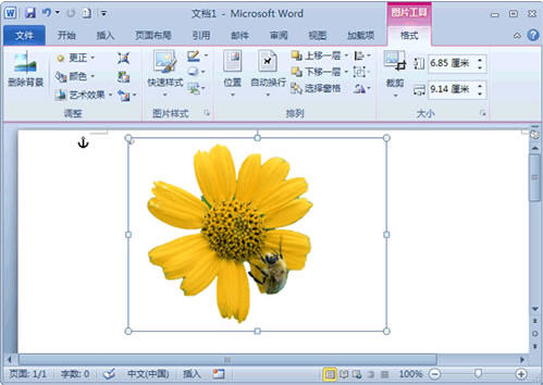 Word 2010ȥͼƬС