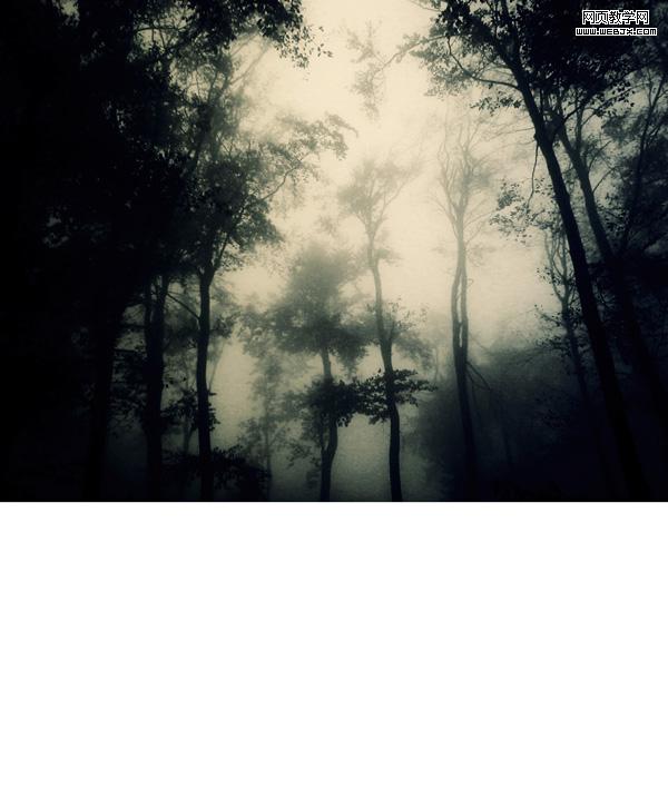 PhotoShop