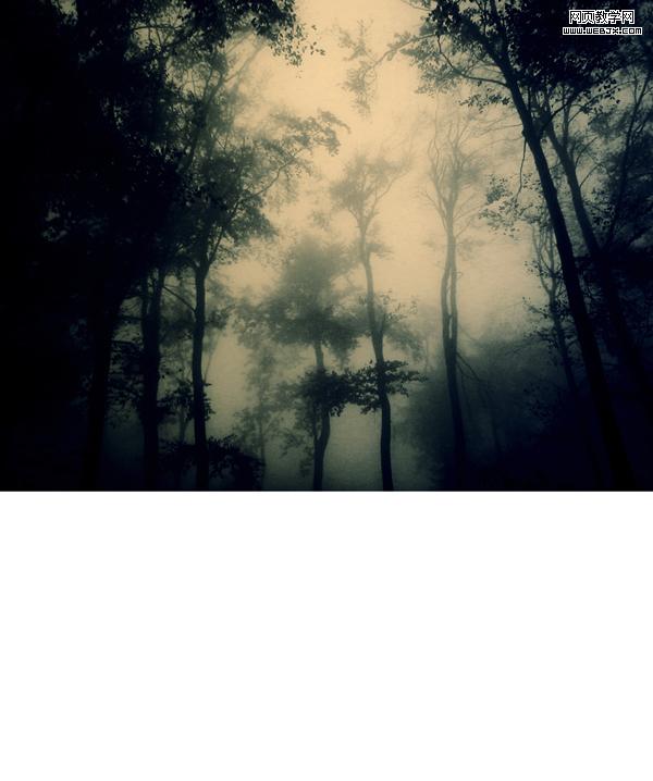 PhotoShop