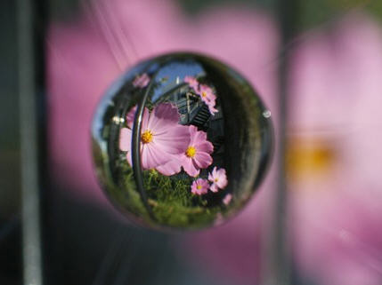 ͷDIY ĳƬ
