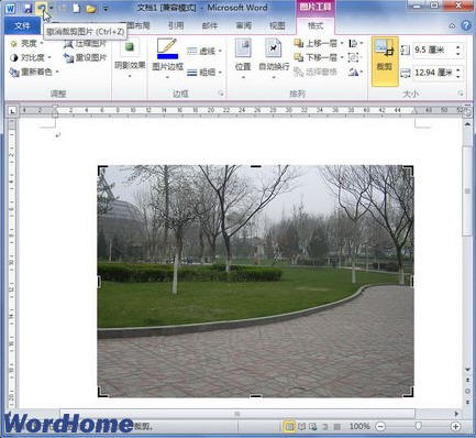 word2010βüͼƬ
