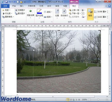 word2010βüͼƬ