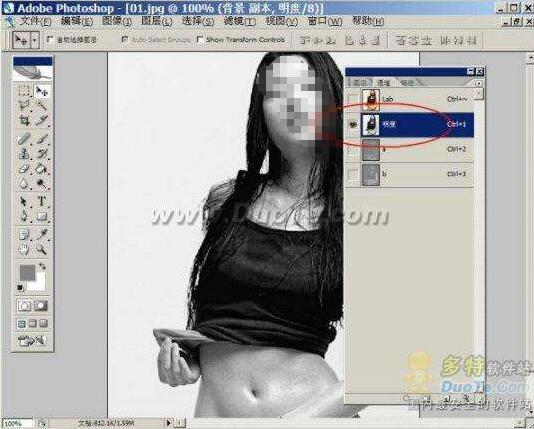 ģΪPhotoShop񻯹ͼ