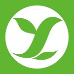 Ź