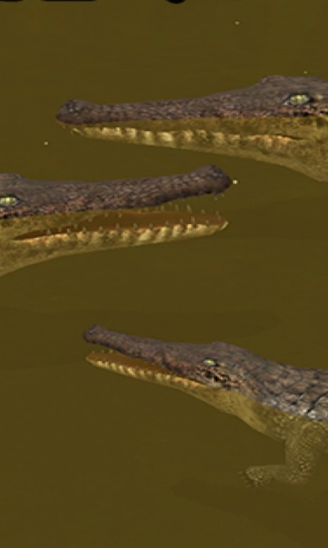 ģ