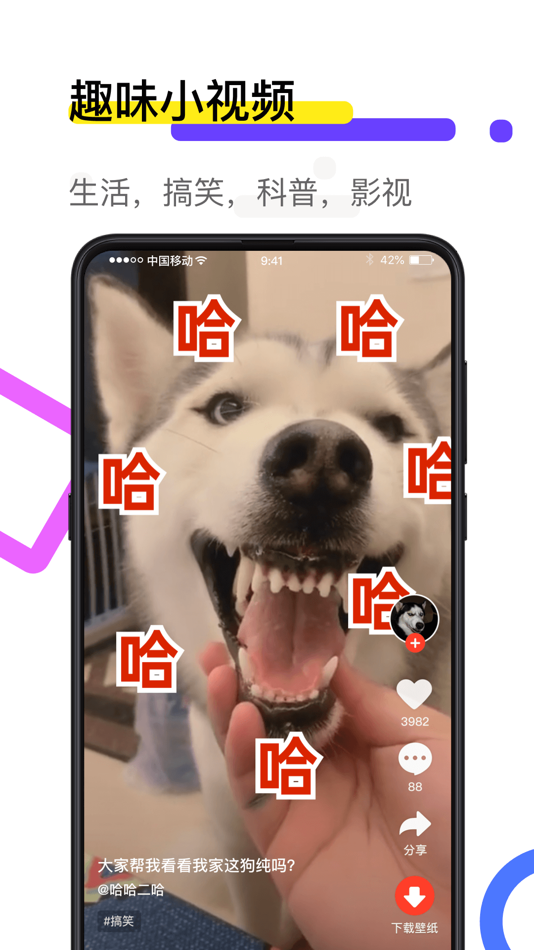өƵֽ