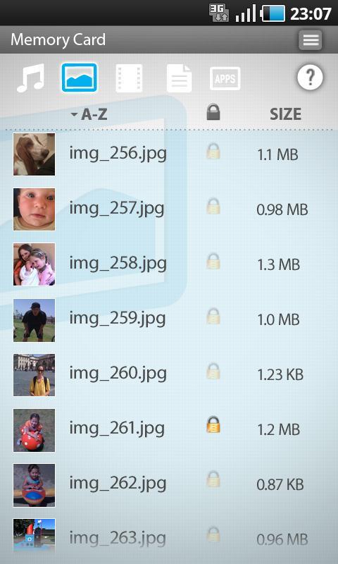 洢 SanDisk Memory Zone