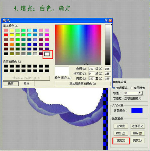 iseeԵ𻯹