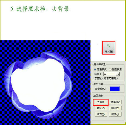 iseeԵ𻯹