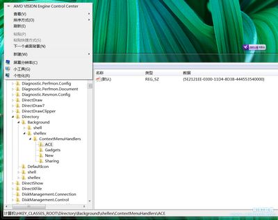 ɾҼ˵AMD VISIONעϢ